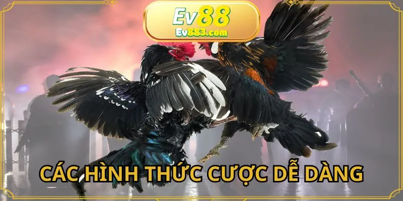 Khám phá các hình thức cược đa dạng tại sảnh